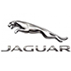 Jaguar en Aragua